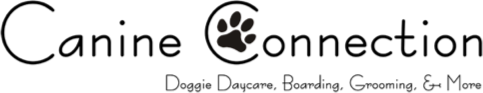 Canine Connection